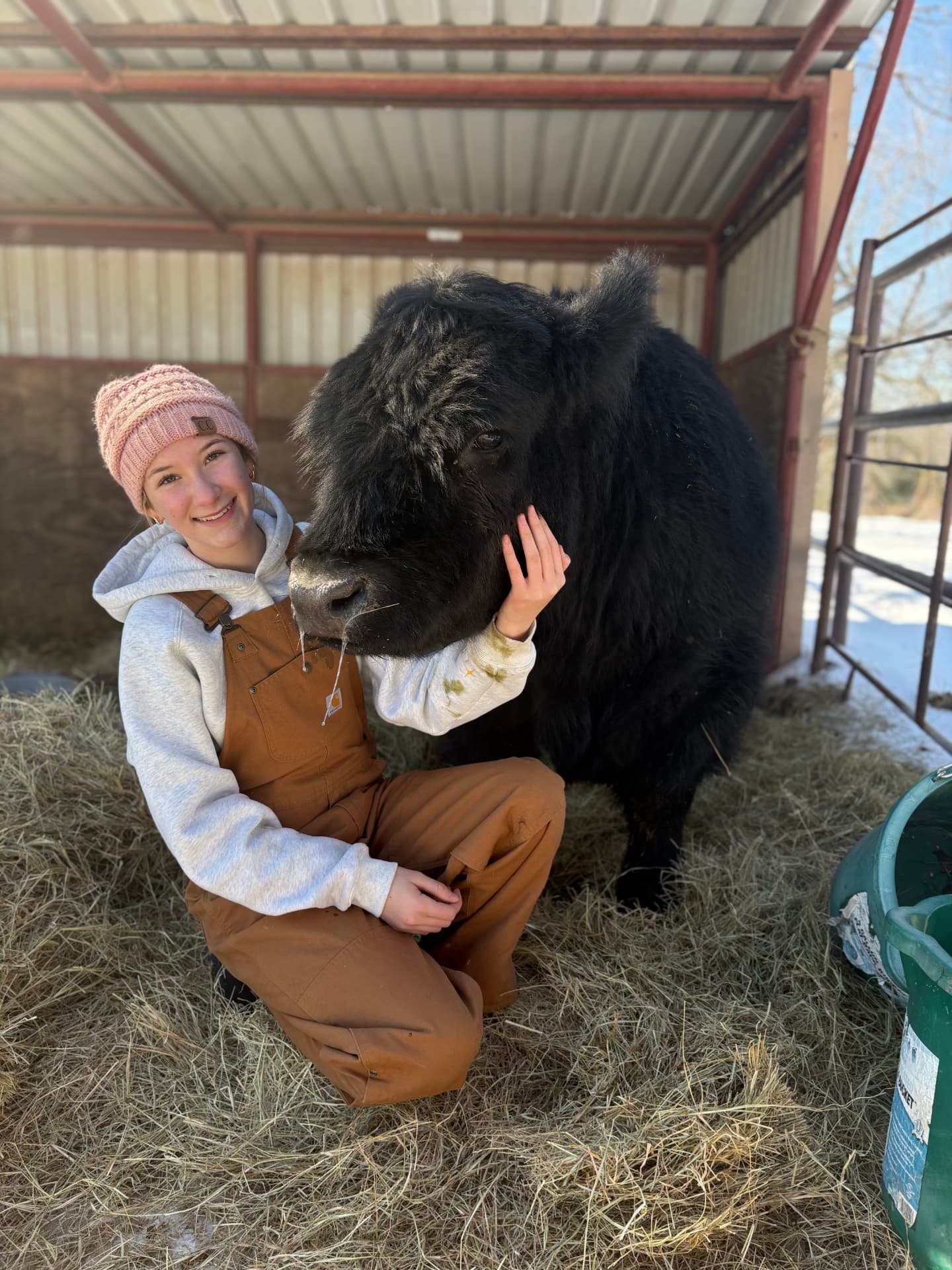 Morgan with one of her steers in the barn