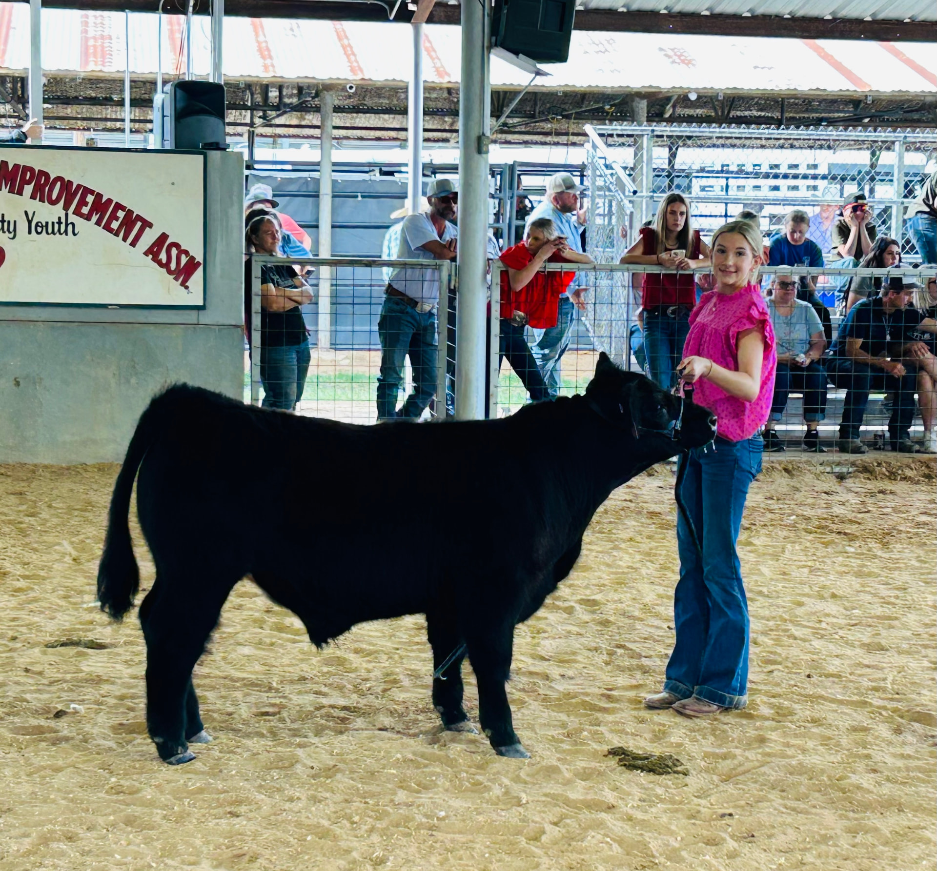 Morgan: Parker County Youth Show 2025