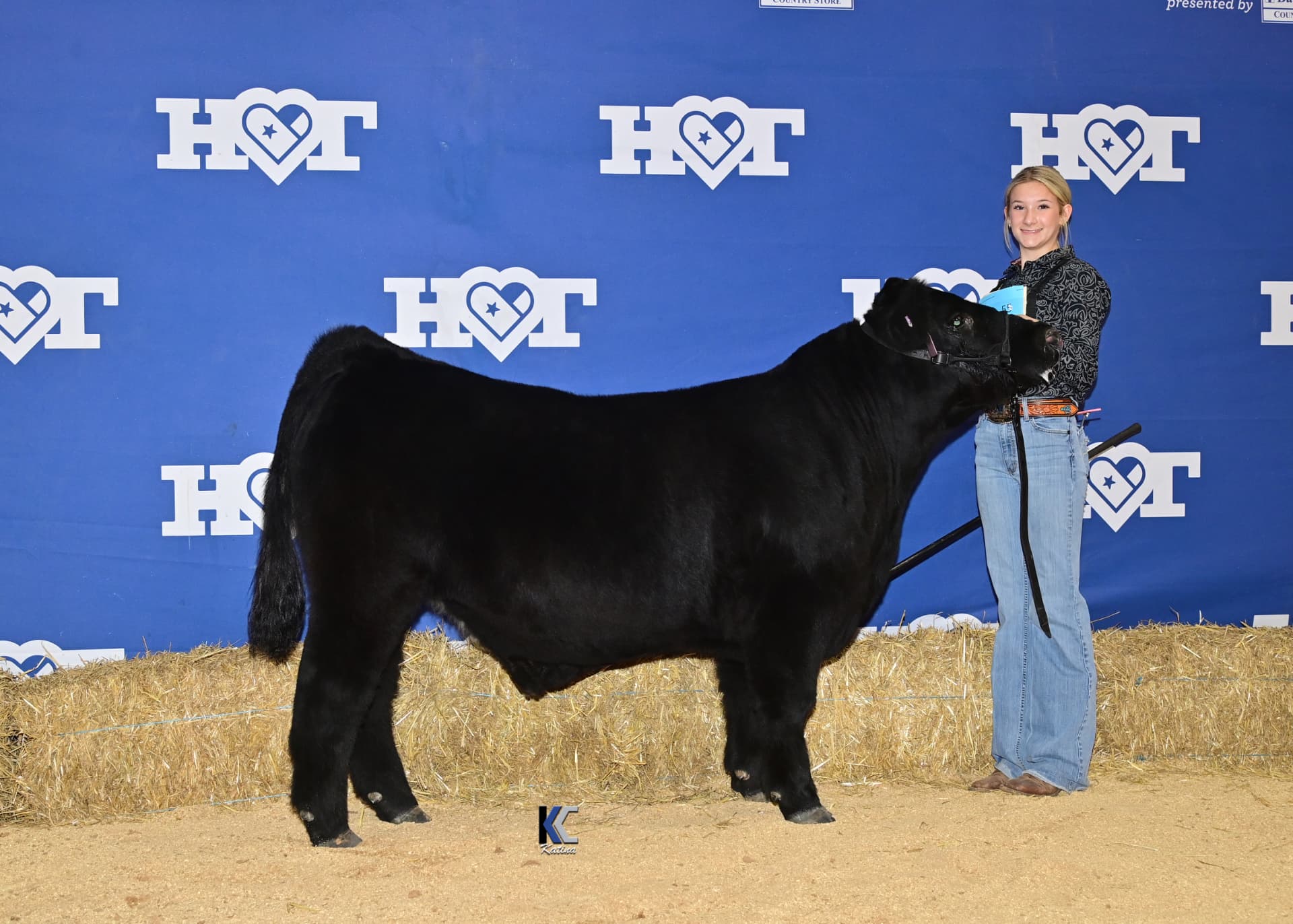 Raising show steers