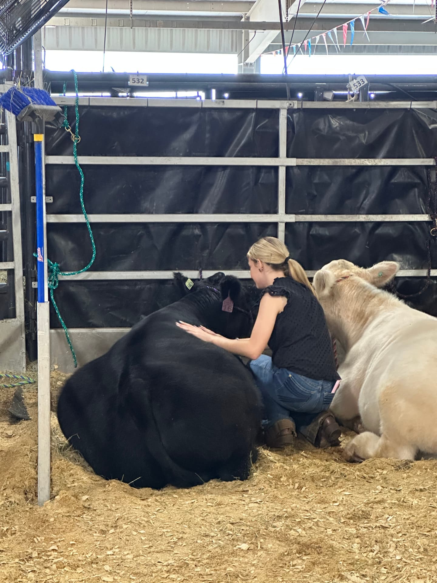 Morgan: Quiet time in the stalls