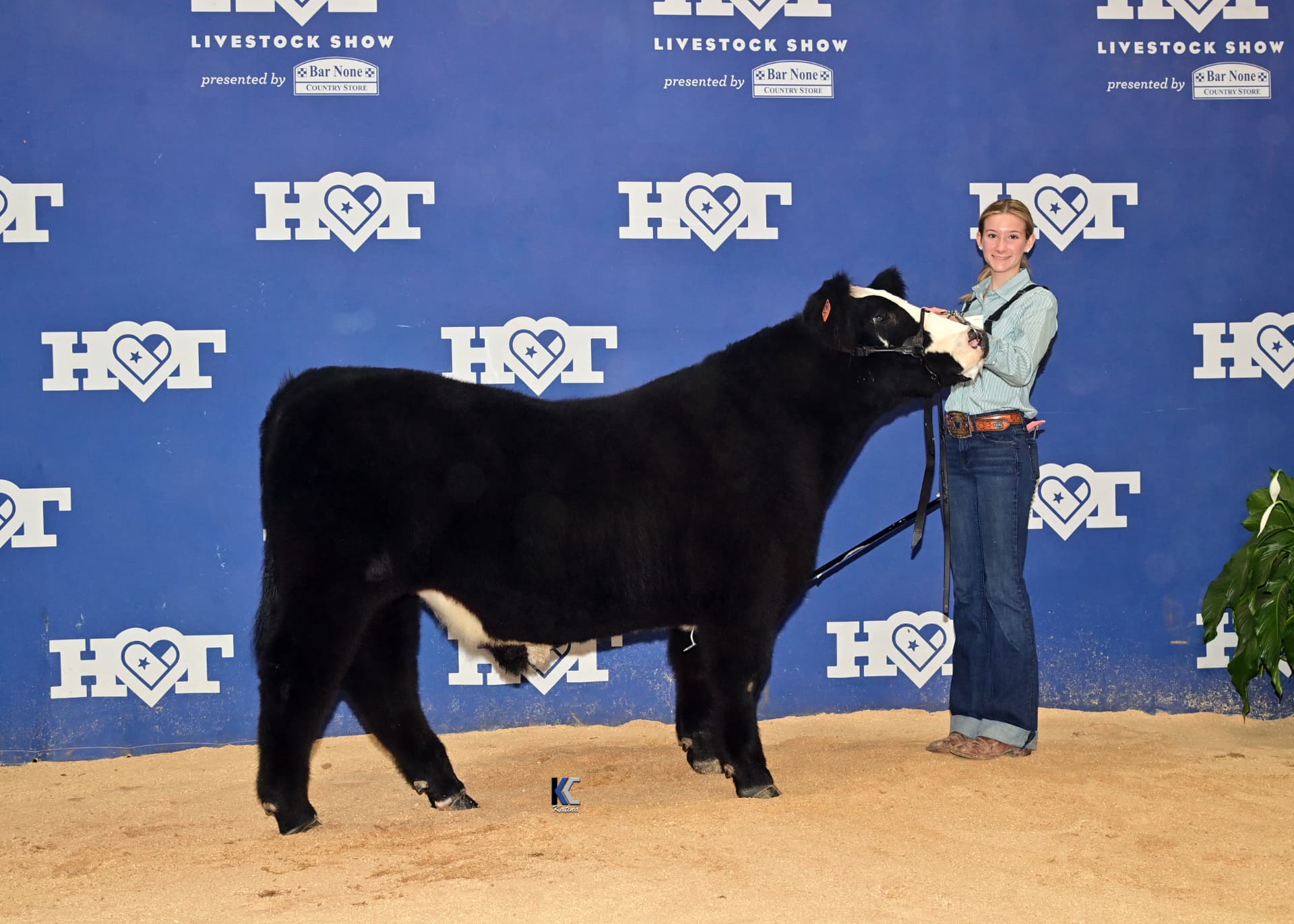 Morgan: HOT Steer Show · Waco, TX 2026
