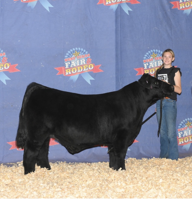 Morgan: West Texas Fair & Rodeo 2025